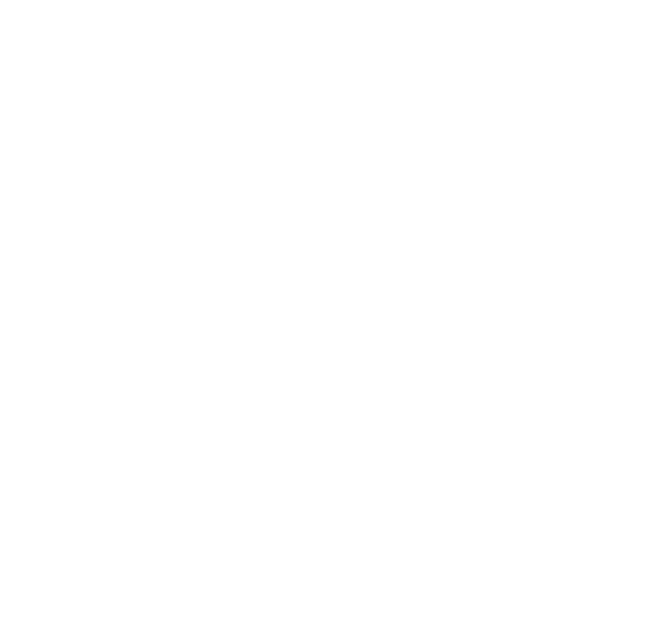 The Assumption Bathurst