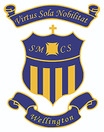 St Mary's Wellington